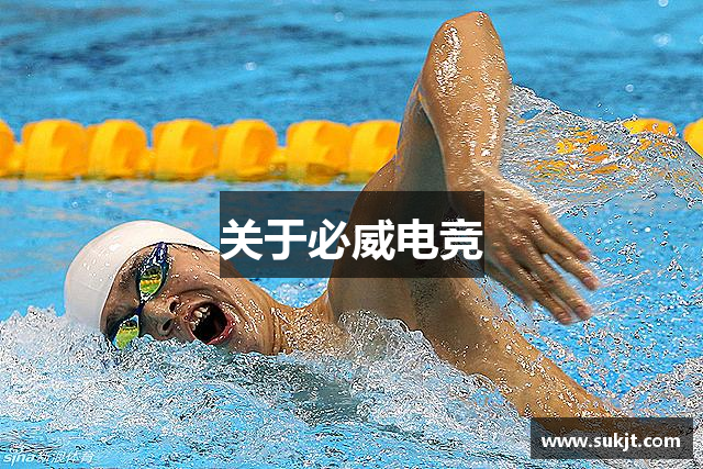 关于必威电竞